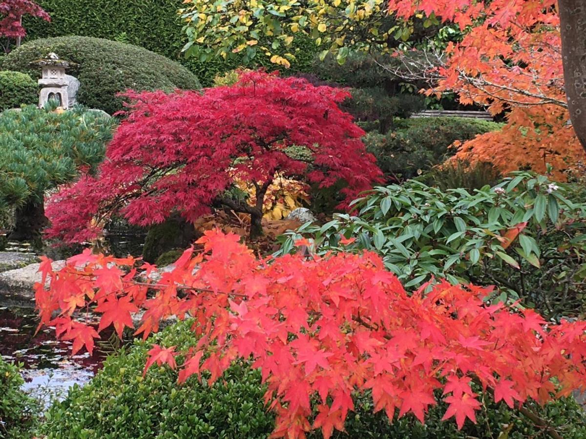 Den Japanske Have B & B Herning Luaran gambar